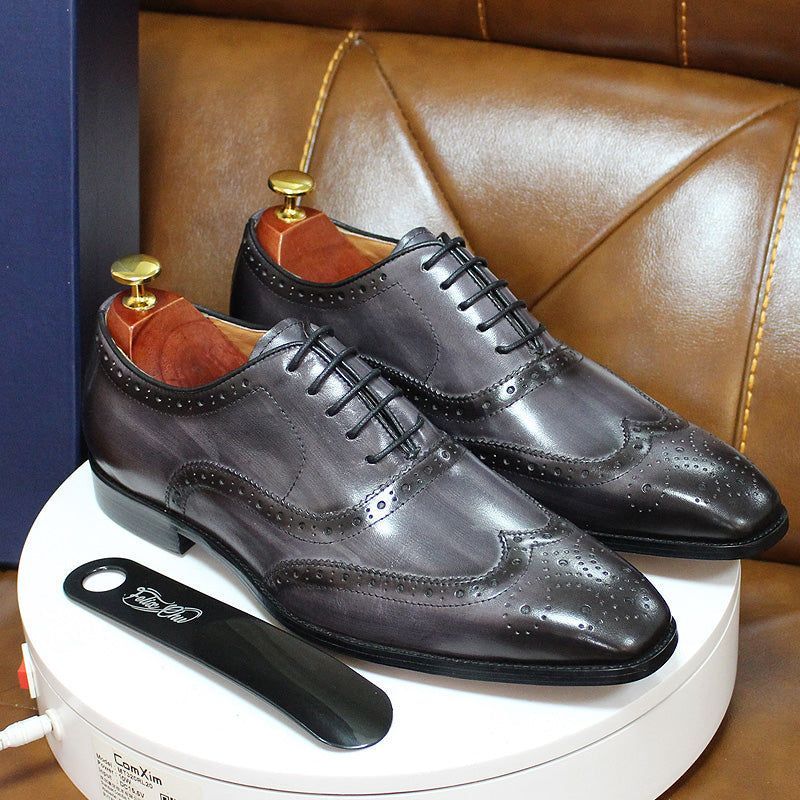 Herren-Oxford-Schuhe mit Flügelkappen und Lochmuster